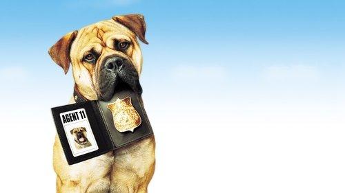 See Spot Run filmas žiurėti online