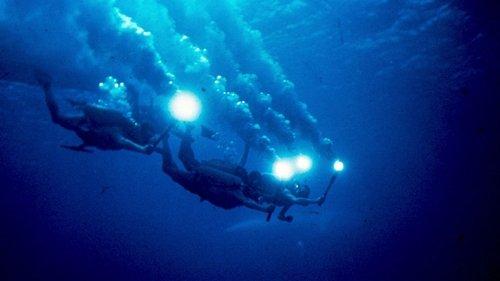 The Silent World filmas žiurėti online