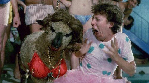 The Toxic Avenger filmas žiurėti online