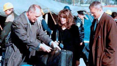 Free Fall filmas žiurėti online