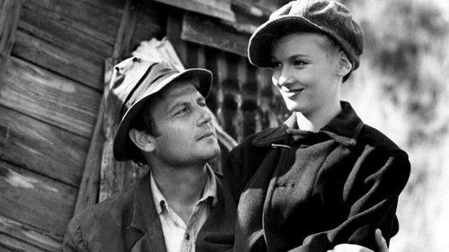 Sullivan's Travels filmas žiurėti online