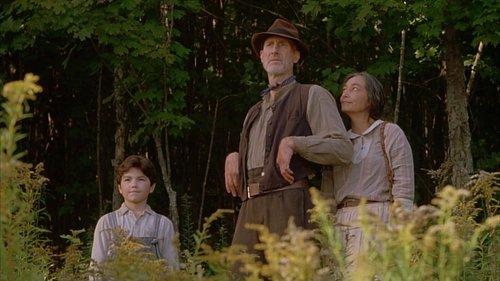 The Education of Little Tree filmas žiurėti online