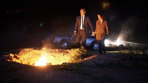 Damascus Cover filmas žiurėti online