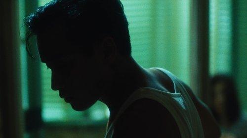 Days of Being Wild filmas žiurėti online