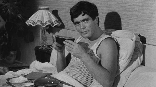 Chicken Feed for Little Birds filmas žiurėti online