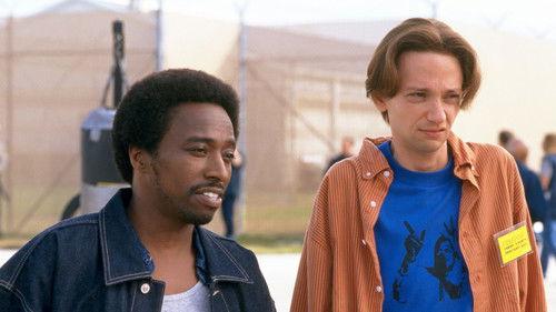 The New Guy filmas žiurėti online