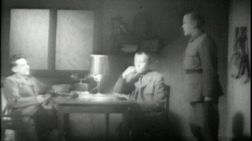 Rabies filmas žiurėti online