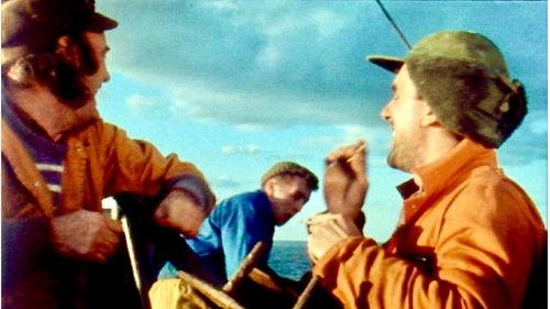 In Fading Light filmas žiurėti online