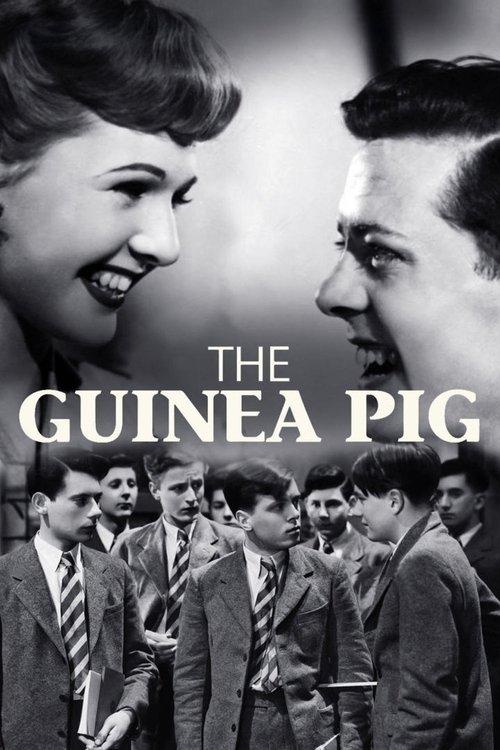 The Guinea Pig filmas online