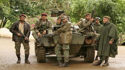 Mister Bob filmas žiurėti online