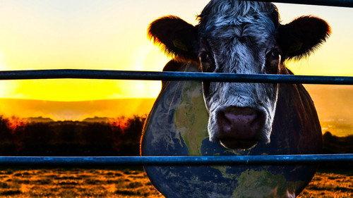 Cowspiracy: The Sustainability Secret filmas žiurėti online