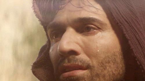 Full of Grace filmas žiurėti online