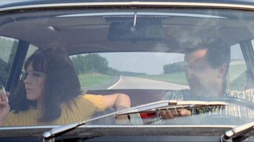 Made in U.S.A filmas žiurėti online