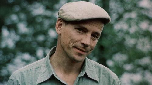 Tough Kids filmas žiurėti online