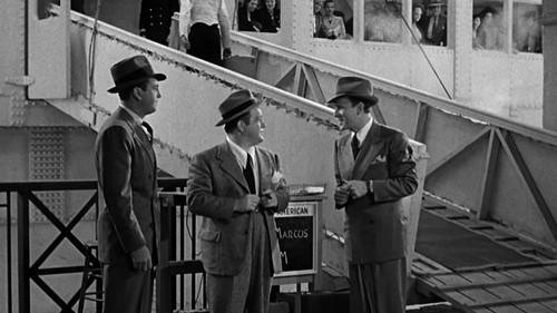 One Night in the Tropics filmas žiurėti online