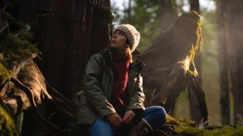 The Island Between Tides filmas žiurėti online