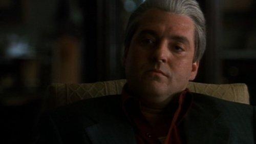 Witness to the Mob filmas žiurėti online