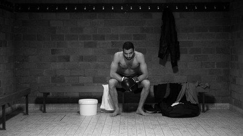 Wolf filmas žiurėti online