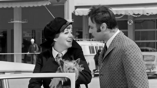 A Crazy Party Animal filmas žiurėti online