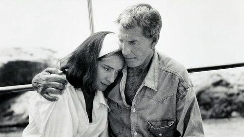 Wild Justice filmas žiurėti online