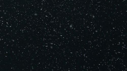 Love Unto Death filmas žiurėti online