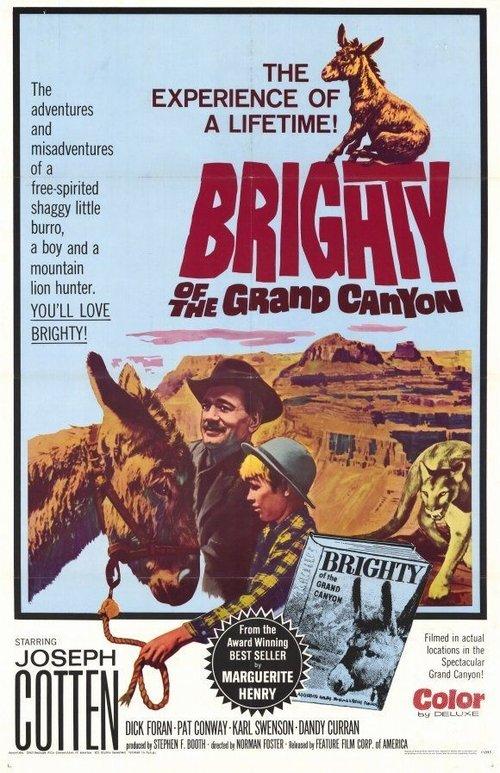Brighty of the Grand Canyon filmas online