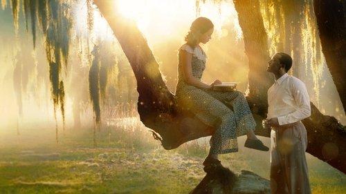 A Jazzman's Blues filmas žiurėti online