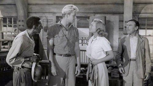 Bahama Passage filmas žiurėti online