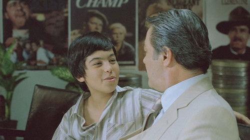 Sinema Bir Mucizedir filmas žiurėti online