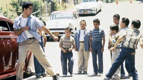 My Family filmas žiurėti online