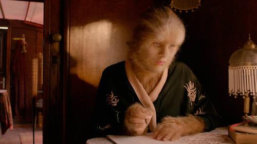 Løvekvinnen filmas žiurėti online