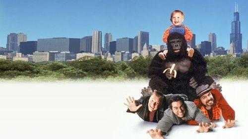 Mažylio atostogos filmas žiurėti online