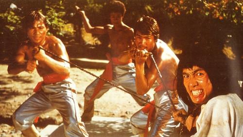 Rivals of the Silver Fox filmas žiurėti online