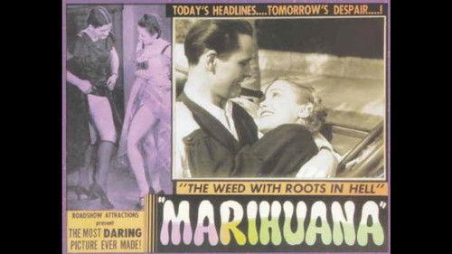 Marihuana El Monstruo Verde filmas žiurėti online