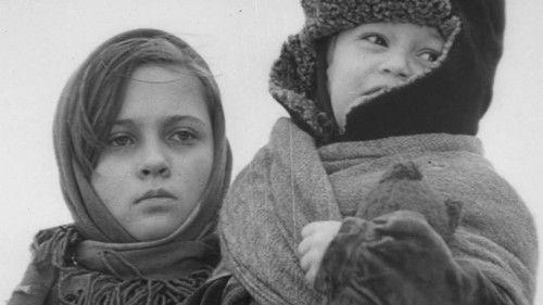 Father filmas žiurėti online