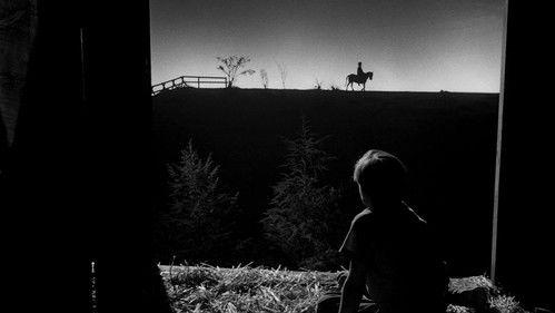 Medžiotojo naktis filmas žiurėti online