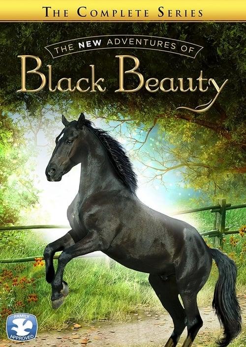 The New Adventures of Black Beauty filmas online