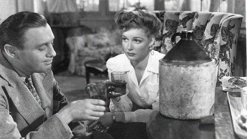 George Washington Slept Here filmas žiurėti online