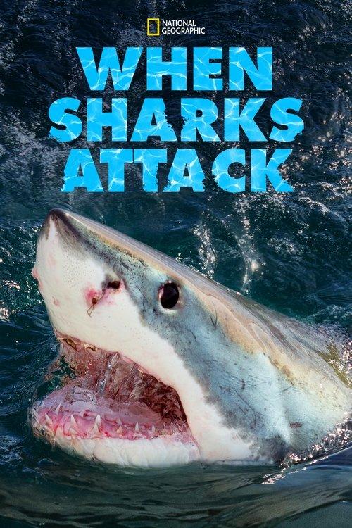When Sharks Attack filmas online