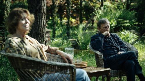 Skrzyżowanie filmas žiurėti online