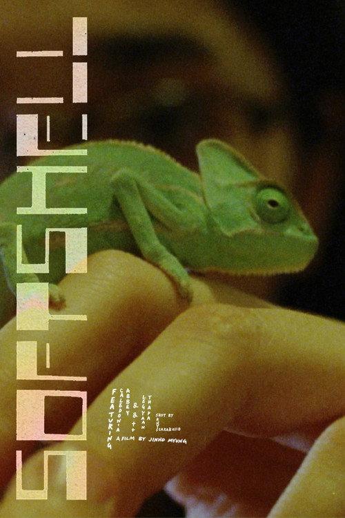 Softshell filmas online