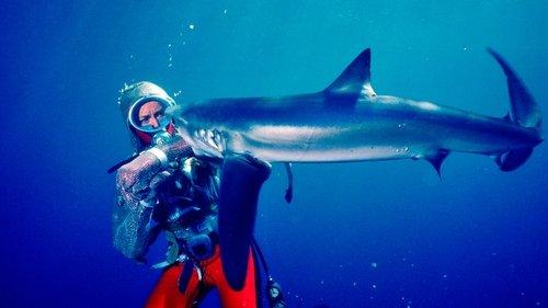 Playing with Sharks filmas žiurėti online