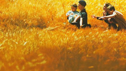 Les égarés filmas žiurėti online