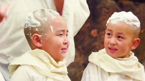 Shaolin Popey II: Messy Temple filmas žiurėti online