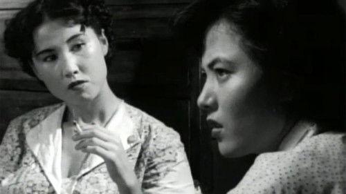 The Widow filmas žiurėti online