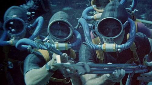 September Storm filmas žiurėti online