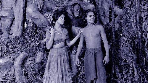 Jungle Book filmas žiurėti online