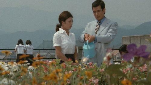 Terrifying Girls' High School: Women's Violent Classroom filmas žiurėti online