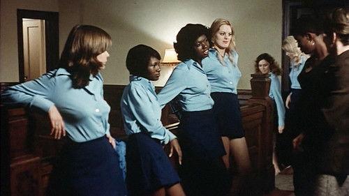 The Black Alley Cats filmas žiurėti online