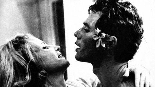 Copacabana Fools Me filmas žiurėti online